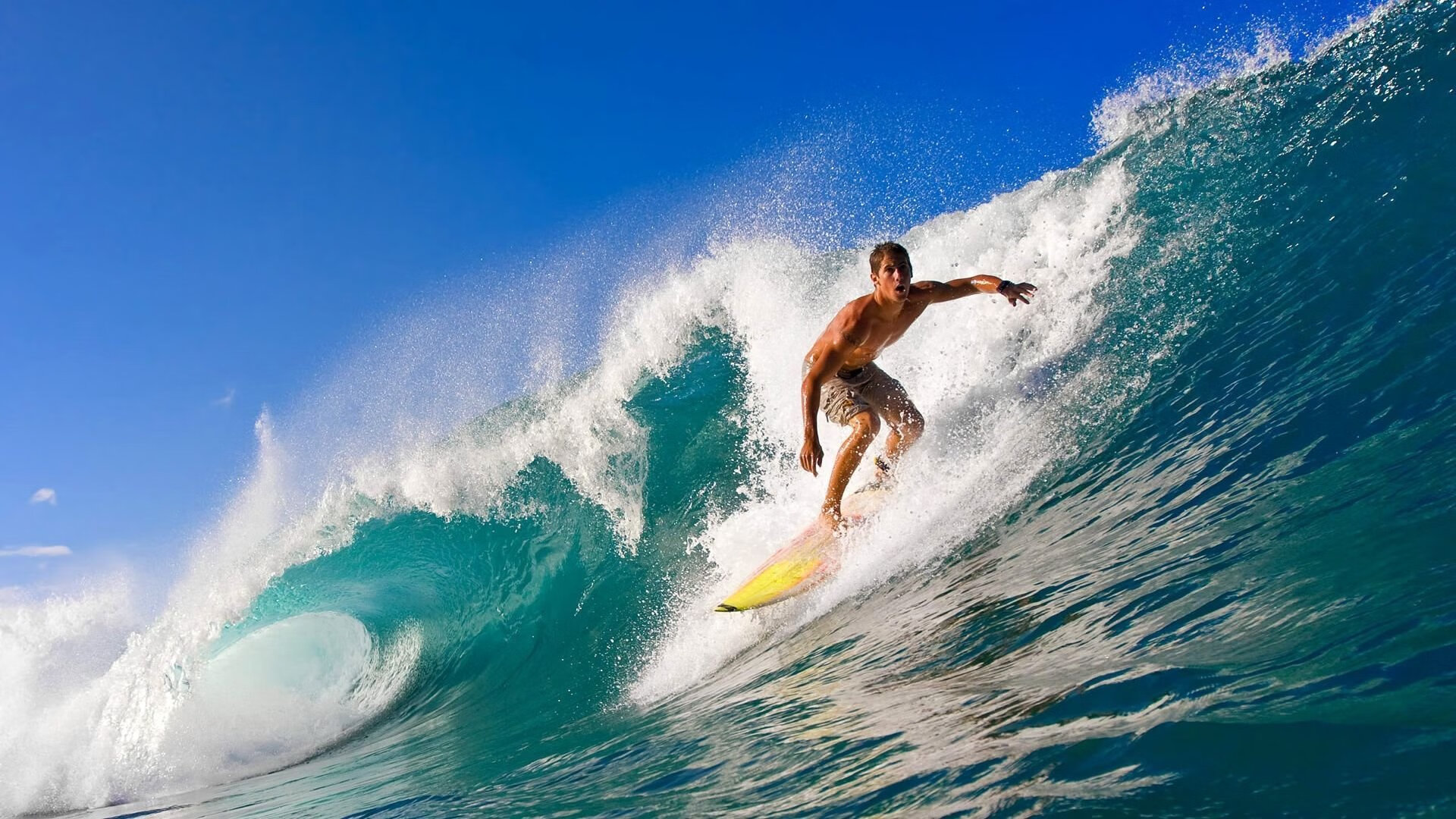 世界极限飞盘挑战,团队合作的最高舞台,极限运动飞盘比赛